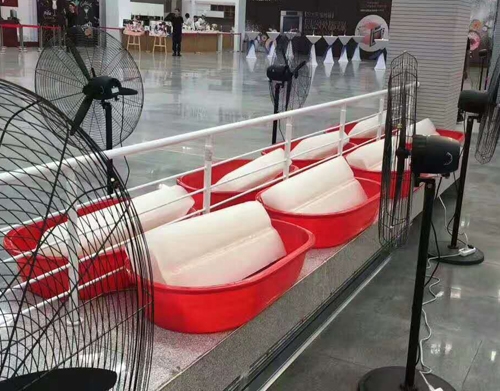蜜桃视频在线观看免费观看冰块案例