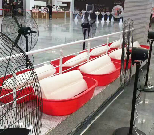 陕西蜜桃视频在线观看免费观看冰块