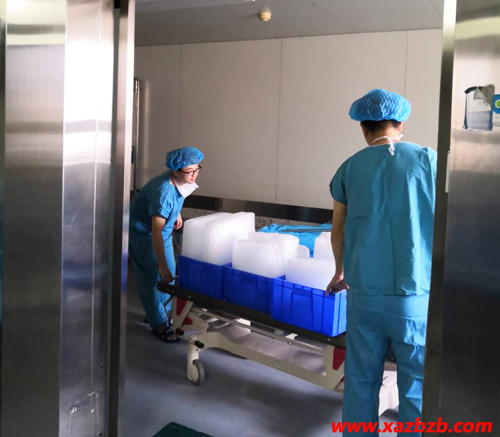 西安蜜桃视频在线观看免费观看冰块